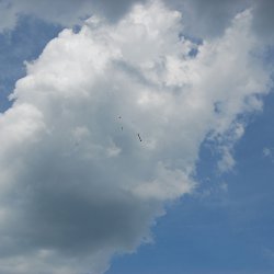 2012 Vojtuv-Tatrar-pristani